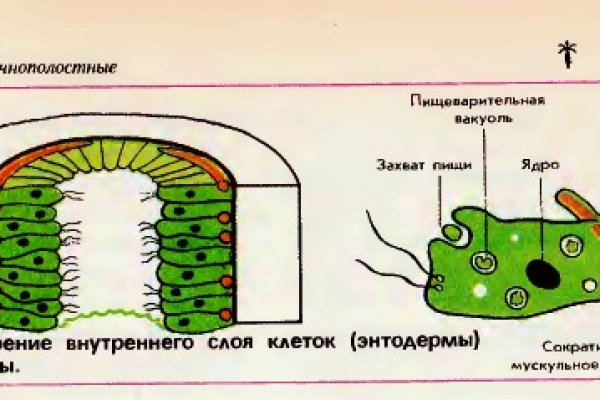 Адрес сайта кракен