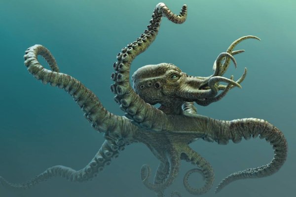 Kraken ссылка официальная