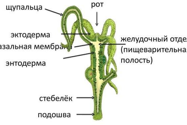 Кракен даркнет сайт ссылка