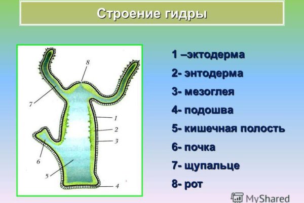 Кракен закладки